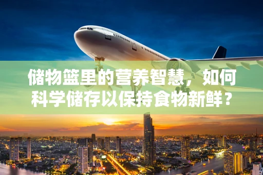 储物篮里的营养智慧，如何科学储存以保持食物新鲜？