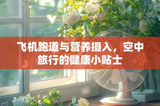 飞机跑道与营养摄入，空中旅行的健康小贴士