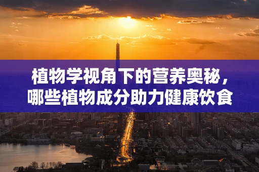 植物学视角下的营养奥秘，哪些植物成分助力健康饮食？