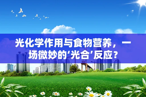 光化学作用与食物营养，一场微妙的‘光合’反应？