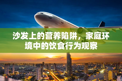 沙发上的营养陷阱，家庭环境中的饮食行为观察