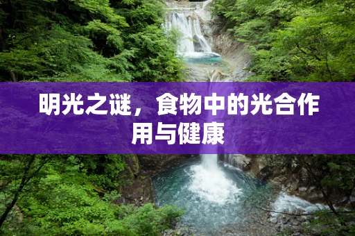 明光之谜，食物中的光合作用与健康