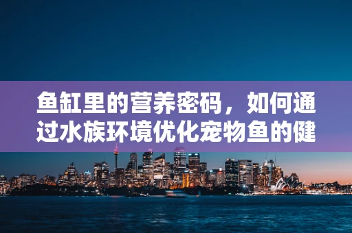 鱼缸里的营养密码，如何通过水族环境优化宠物鱼的健康？