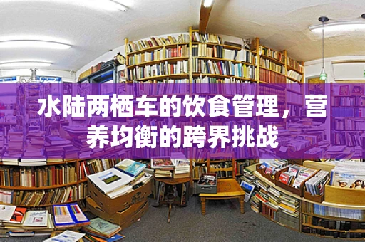 水陆两栖车的饮食管理，营养均衡的跨界挑战