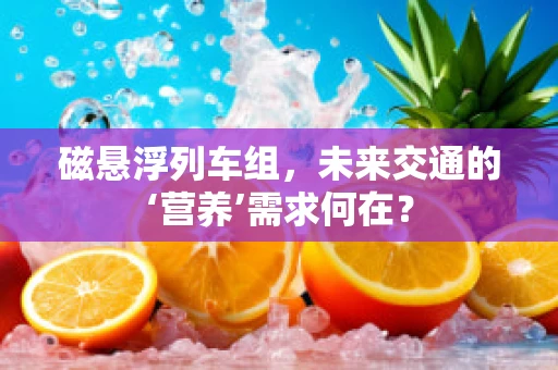 磁悬浮列车组，未来交通的‘营养’需求何在？