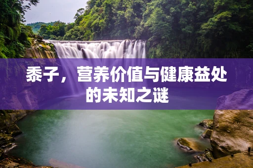 黍子，营养价值与健康益处的未知之谜